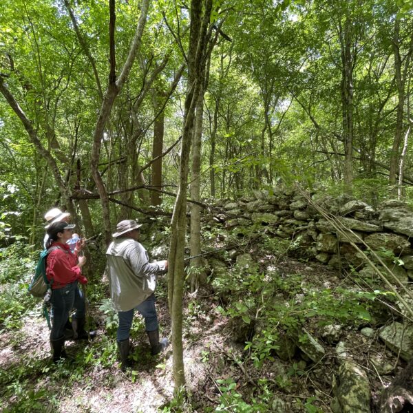 Registration, Restoration, Revaluation and Tour of the perimeter wall of the pre-Hispanic city of Uxmal