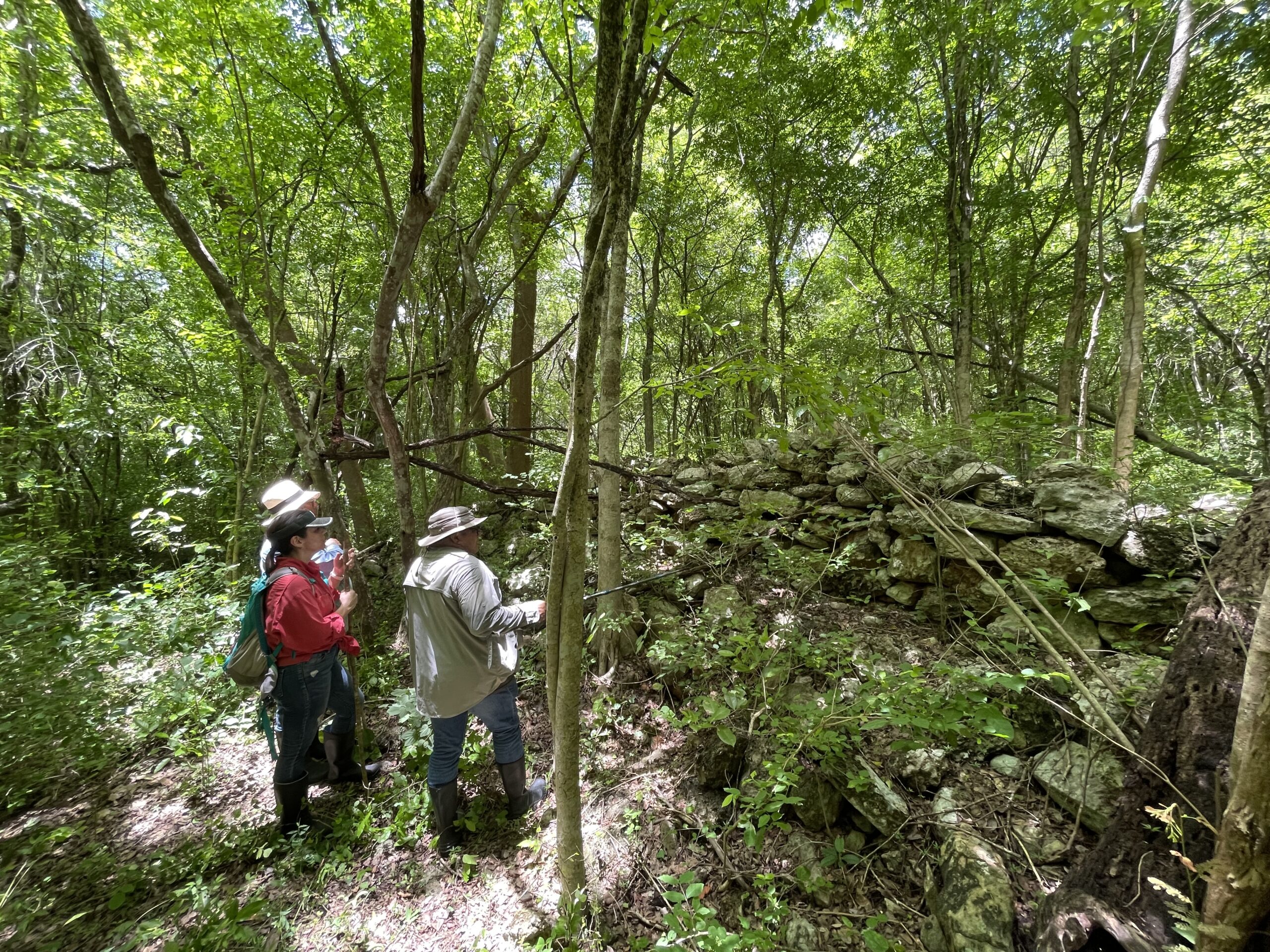 Read more about the article Registration, Restoration, Revaluation and Tour of the perimeter wall of the pre-Hispanic city of Uxmal